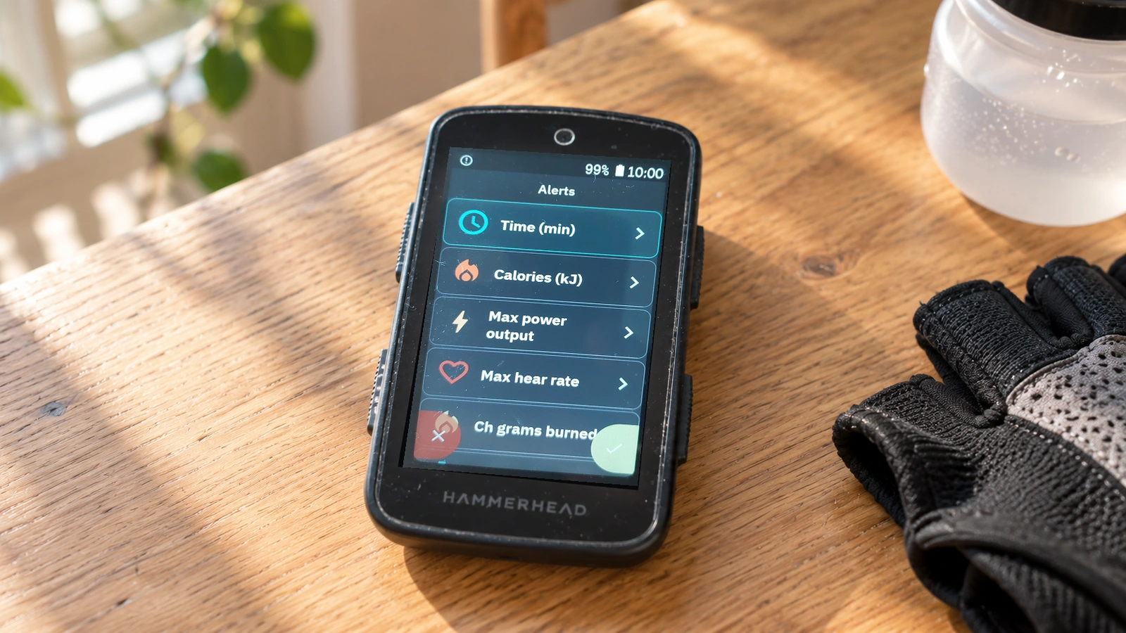VinHkE Alerts configuration at home before the ride