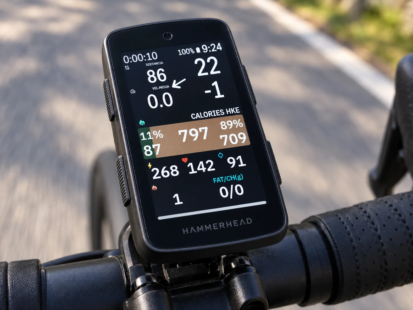 VinHkE energy data and estimated carbohydrate and fat use